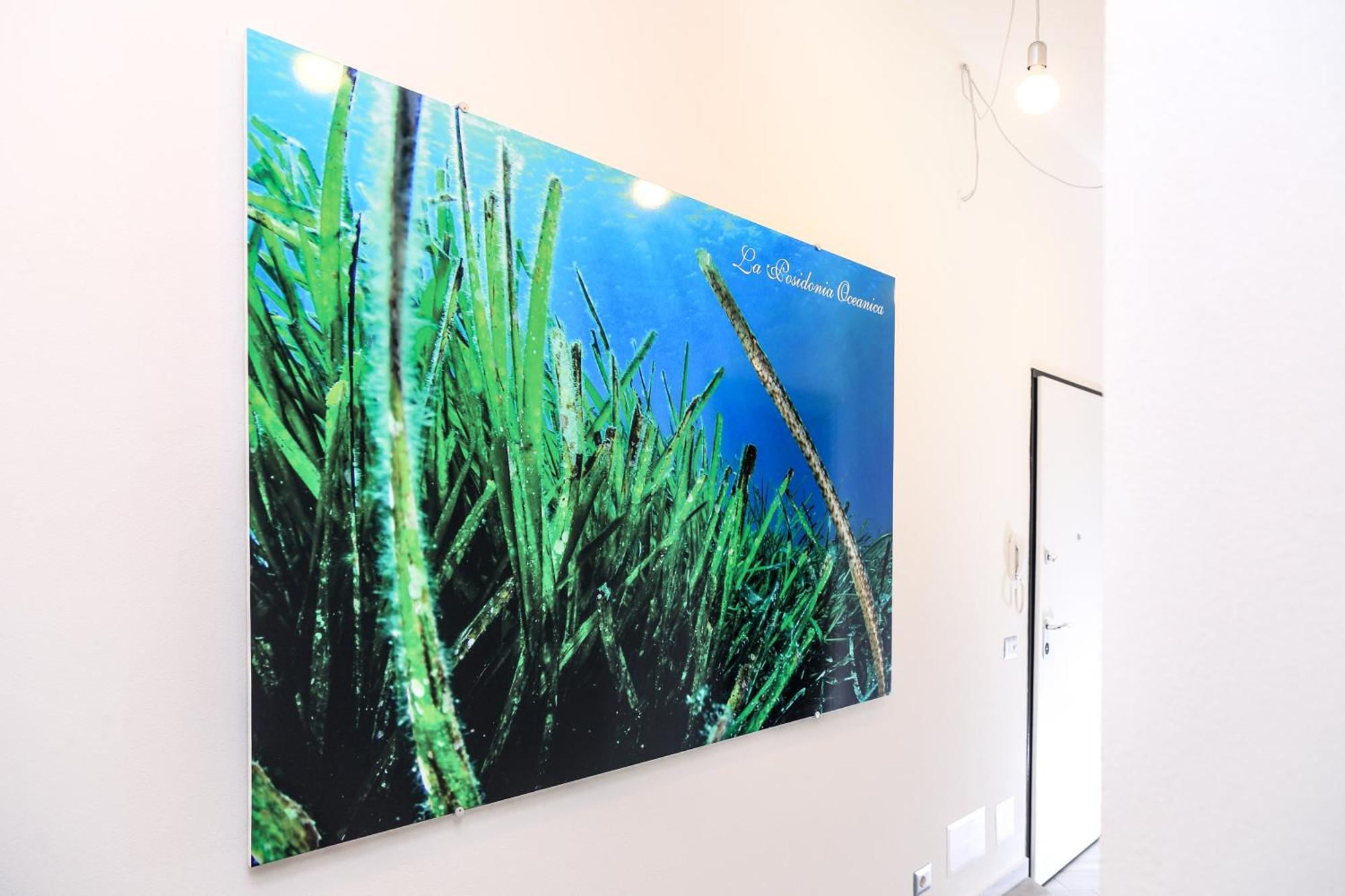 アルゲーロ La Posidonia Oceanica Bed & Breakfast エクステリア 写真